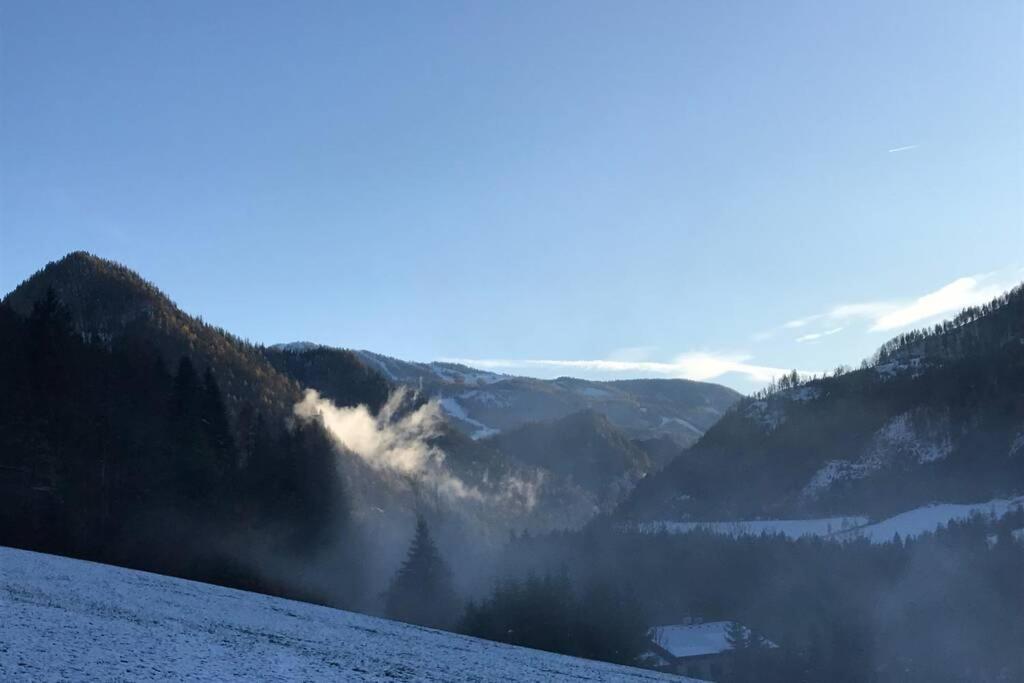 Bergchalet Hinterstoder Exteriör bild